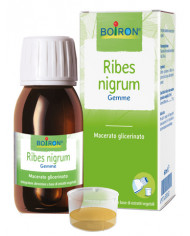977632052-ribes-nigrum-boi-mg-60ml-int