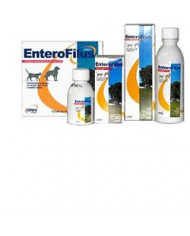 902417551-enterofilus-12x10ml