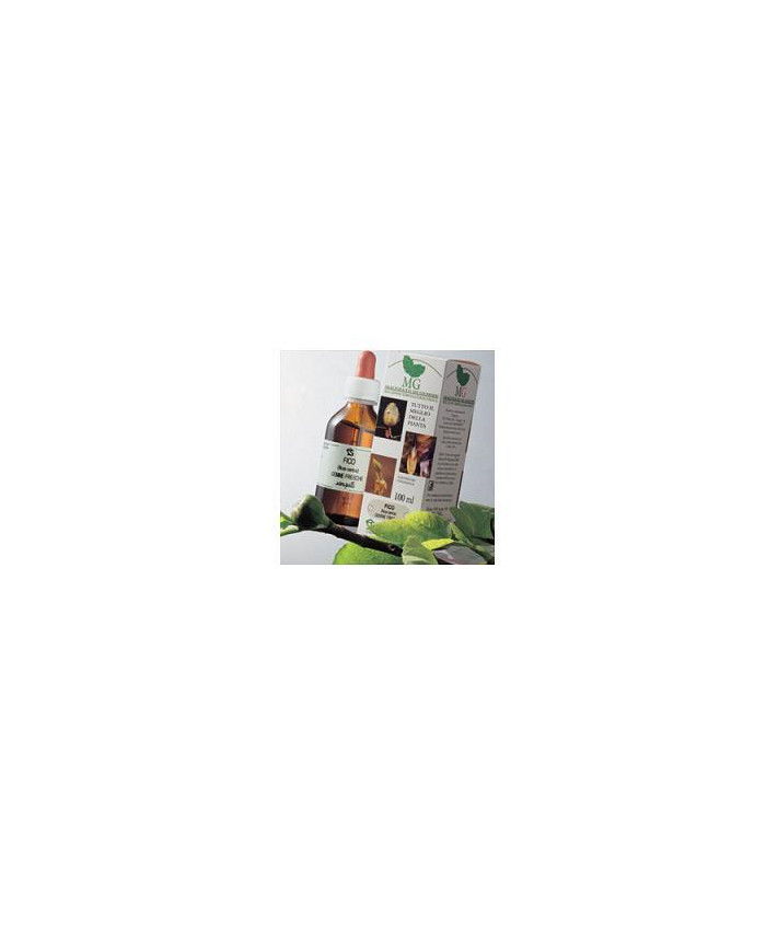 901547481-tiglio-argent-100ml-mg